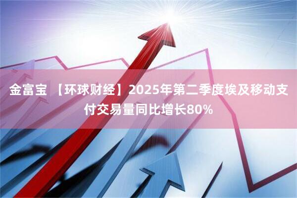 金富宝 【环球财经】2025年第二季度埃及移动支付交易量同比增长80%