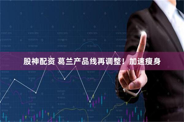 股神配资 葛兰产品线再调整！加速瘦身